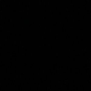 Meet your Posher, Claudia